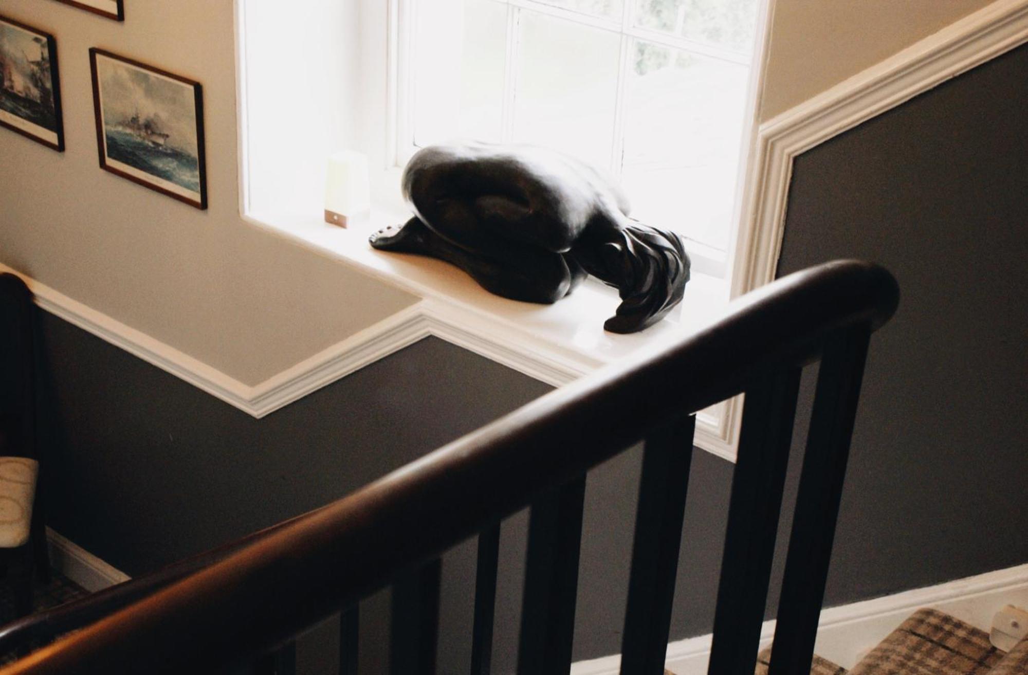 Ranscombe House Bed & Breakfast Бриксам Екстериор снимка