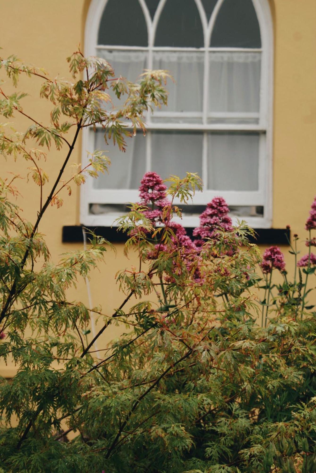 Ranscombe House Bed & Breakfast Бриксам Екстериор снимка